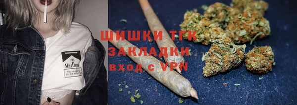 стафф Белокуриха