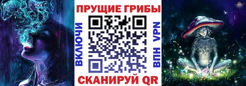 дарнет шоп  Гудермес  Галлюциногенные грибы Psilocybe 