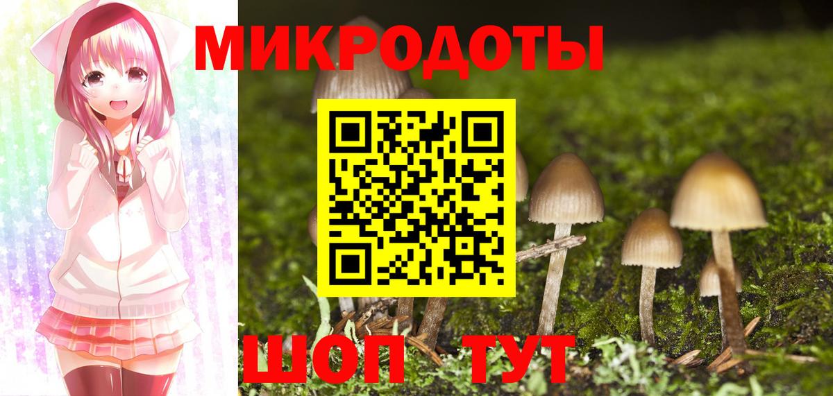Псилоцибиновые грибы Magic Shrooms Гудермес