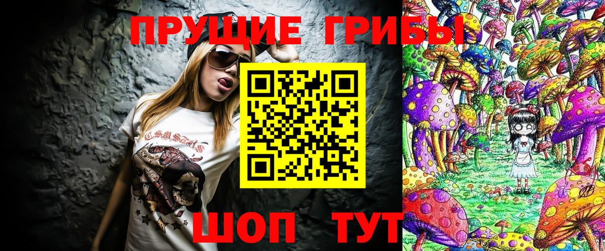 Гудермес  Псилоцибиновые грибы мухоморы  Вход с VPN 