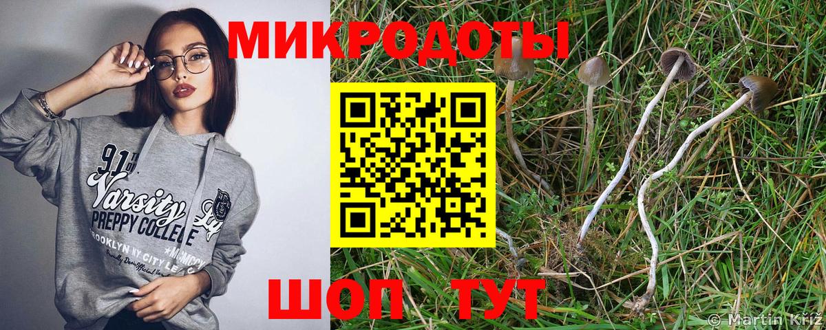 Псилоцибиновые грибы Magic Shrooms Гудермес